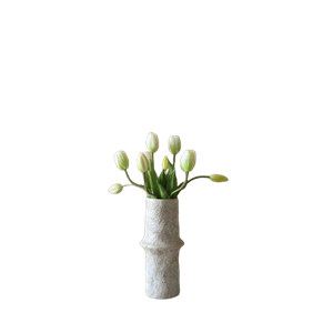 Botané Tulip Buket Hvid