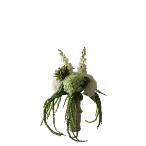 Botané Enchanted Matcha Buket Grøn