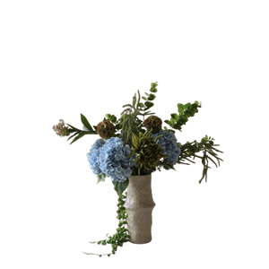 Botané Sparkling Water Buket Grøn