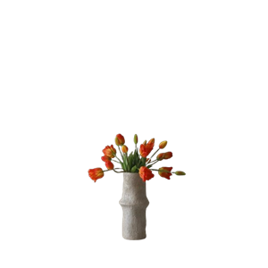 Botané Tulip Mixed Buket Orange