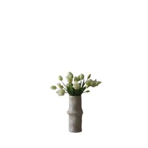 Botané Tulip Mixed Buket Hvid