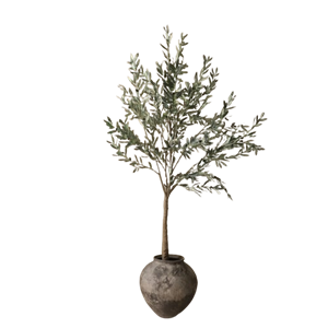 Botané Olive Træ Grøn
