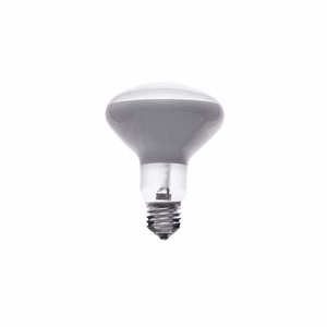 Flos LED E27 13W 1180lm 220-240V 2700K R125 G.PLUX