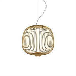 Foscarini My Light Spokes 2 Piccola Pendel Guld