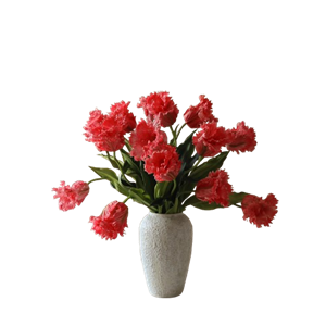 Botané Parrot Tulips Buket Rød